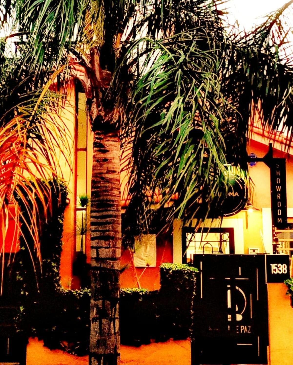 Rincon De Paz Apart & Loft Suite Boutique - Adults Only ヴィラ・カルロス・パス エクステリア 写真
