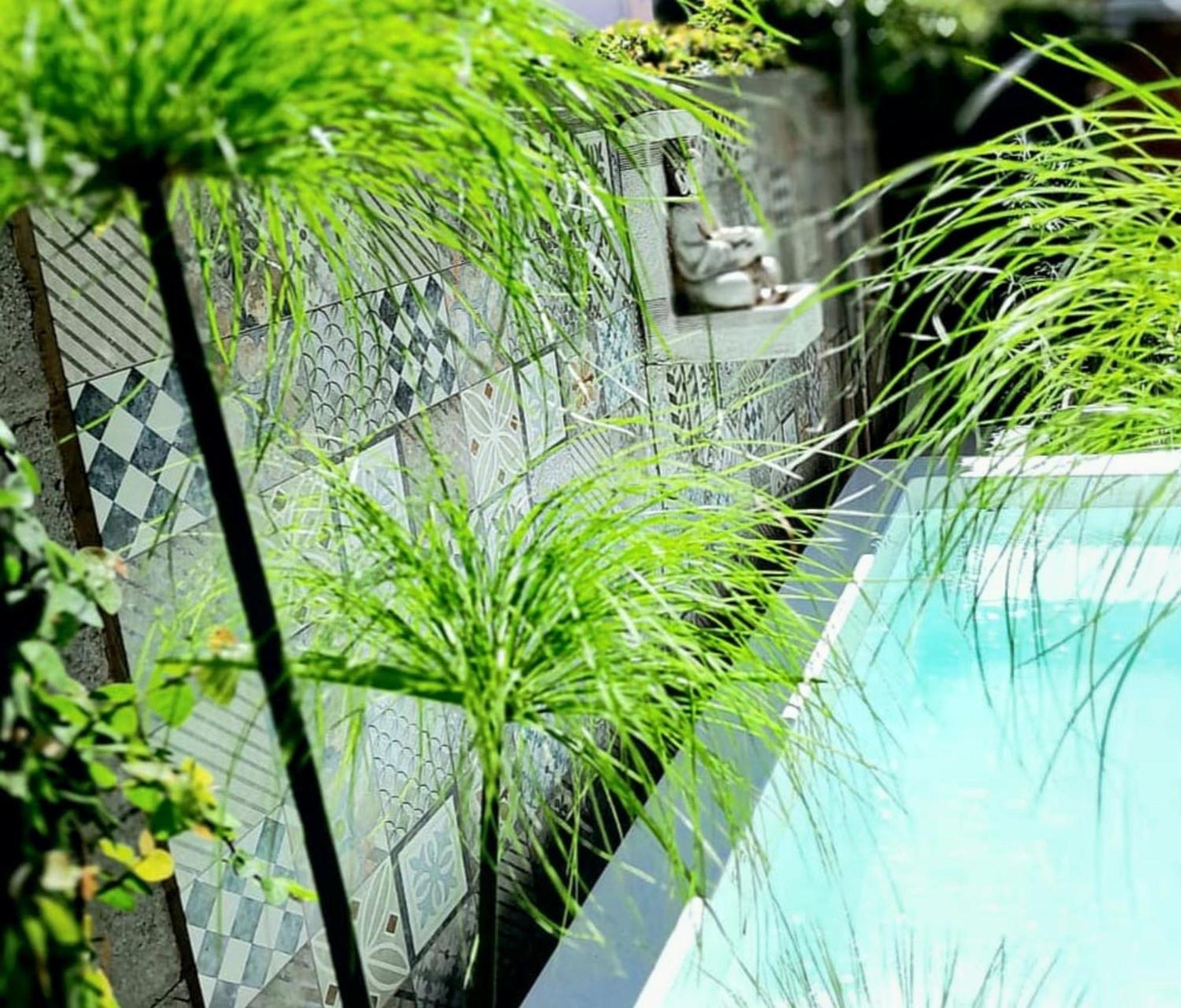 Rincon De Paz Apart & Loft Suite Boutique - Adults Only ヴィラ・カルロス・パス エクステリア 写真